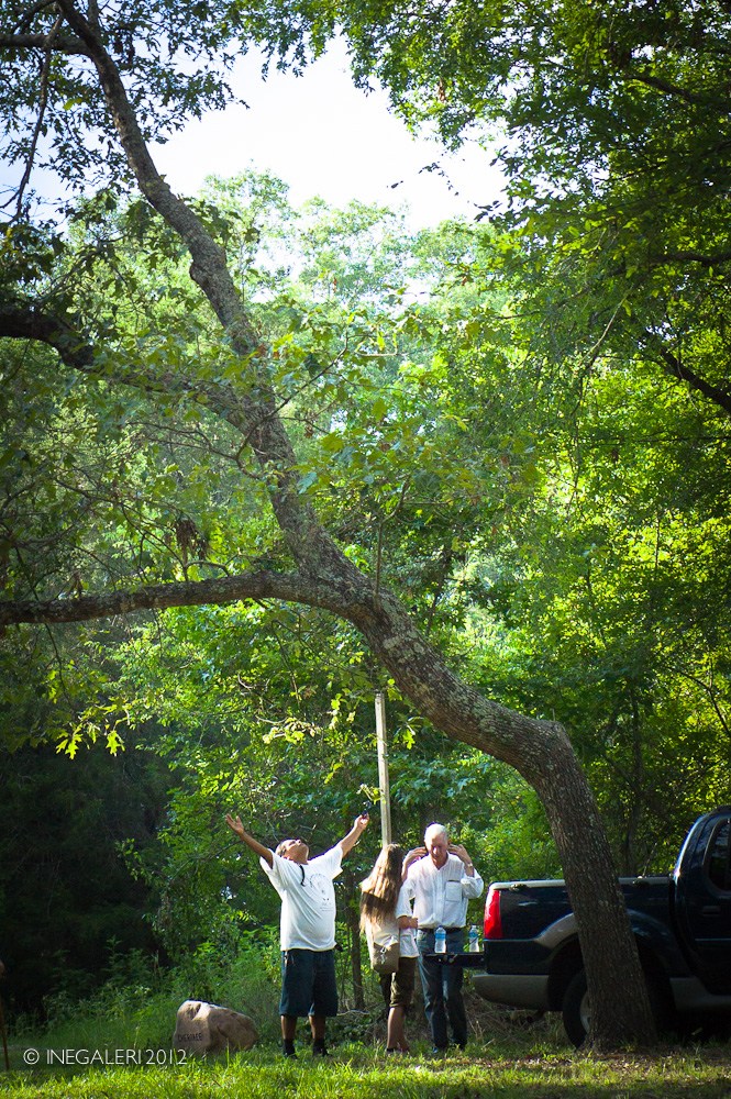 Battle of the Neches Memorial 9