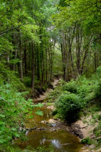 Crooked Creek, Van Zandt County, Tx
