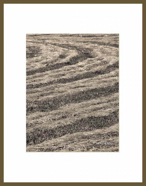 FramedS - Freshly Cut Hay 1
