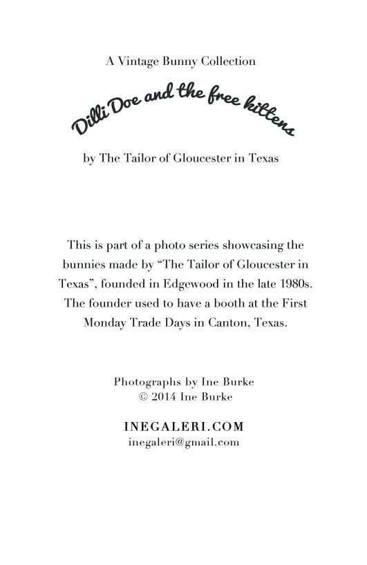 Dillie Doe and the free kittens- Text