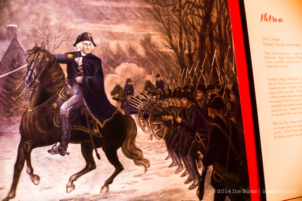 GWB Library Christmas-4