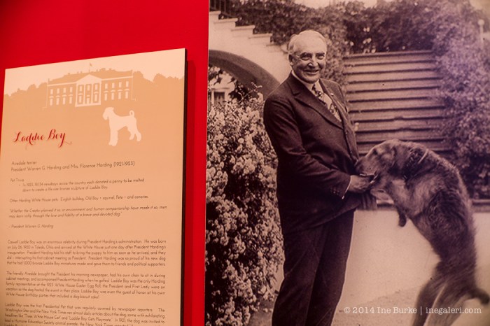 GWB Library Christmas-8