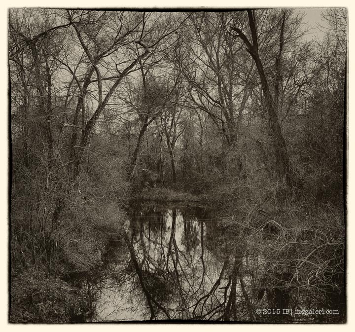 BW CR by Ine Burke 2015-1