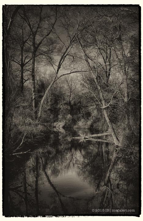 BW CR by Ine Burke 2015-2