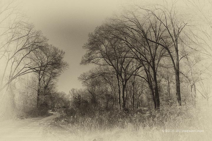 BW CR by Ine Burke 2015-4