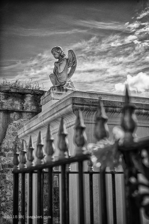 Ine Burke | St Louis Cemetery-5