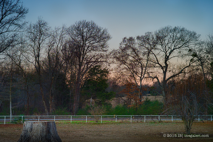 Morning Light Jan2015-3