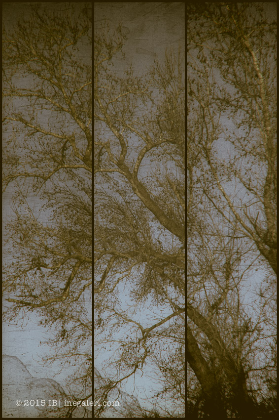 On the Edge of the Piney Woods Triptych