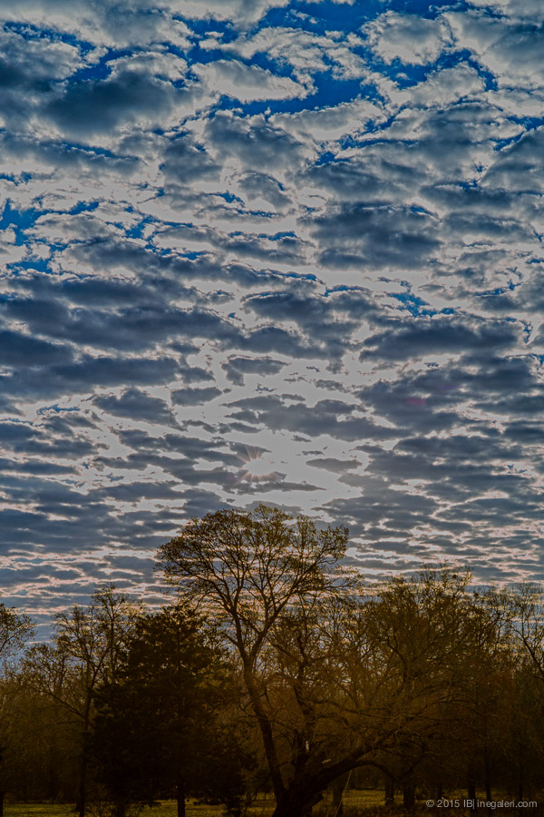 Altocumulus in Morning | Feb 2015-1