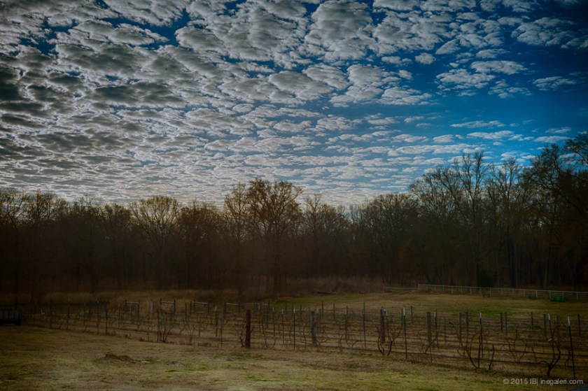 Altocumulus in Morning | Feb 2015-7