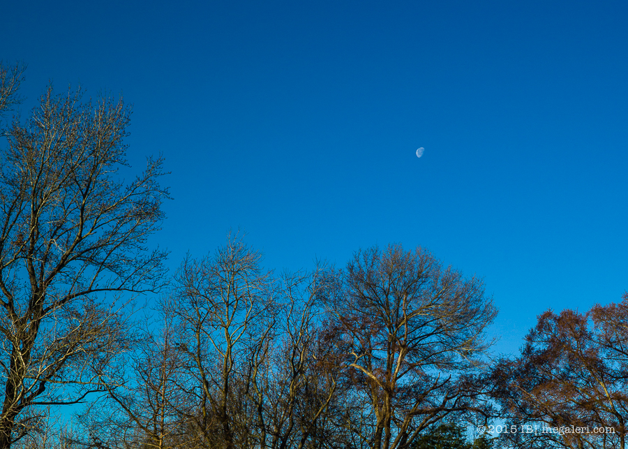 Moon in morning | Feb 2015-2