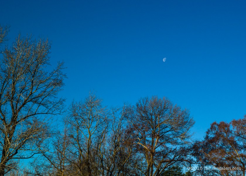 Moon in morning | Feb 2015-2
