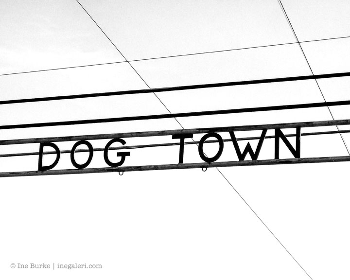 Dog Town IBurke S