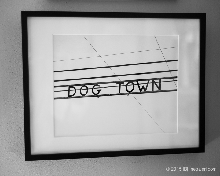 My Northeast Texas Series |IB-2