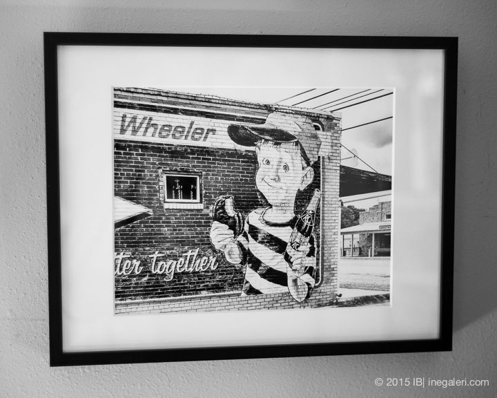 My Northeast Texas Series |IB-3