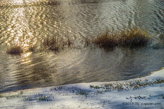 Snow M9 Mar2015 | IB-2