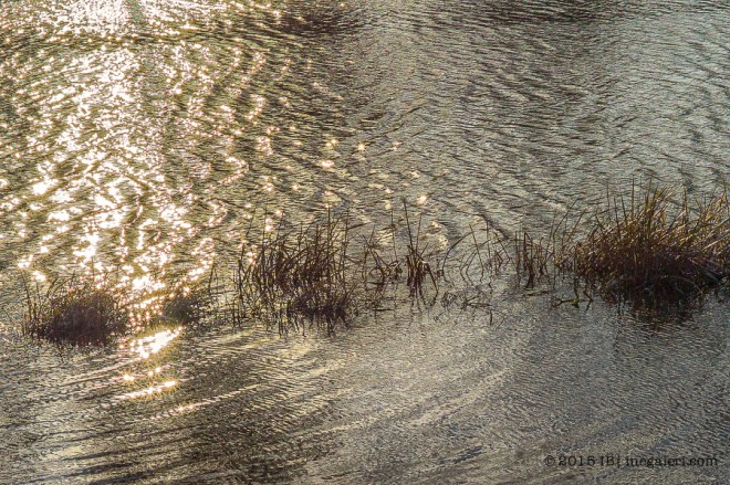 Snow M9 Mar2015 | IB-3