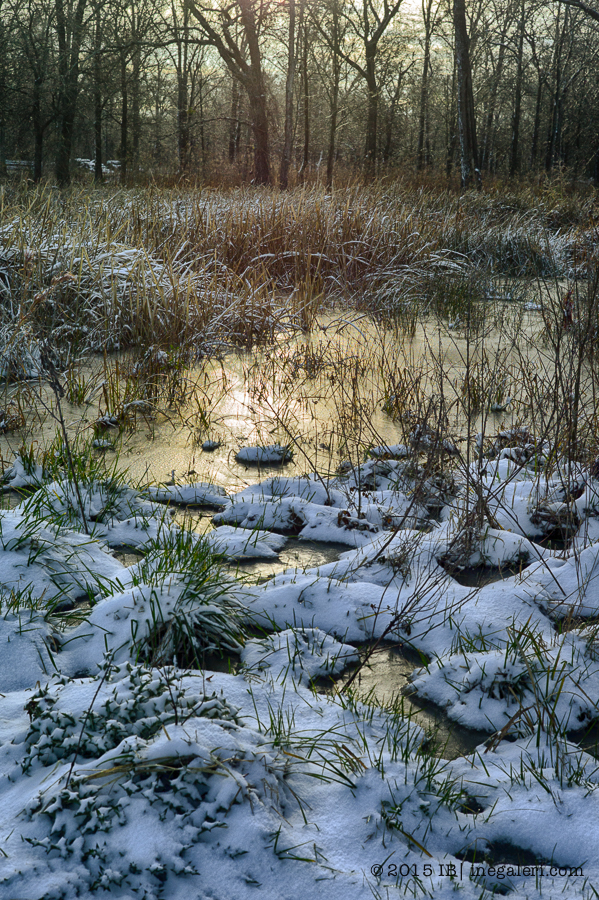 Snow M9 Mar2015 | IB-5