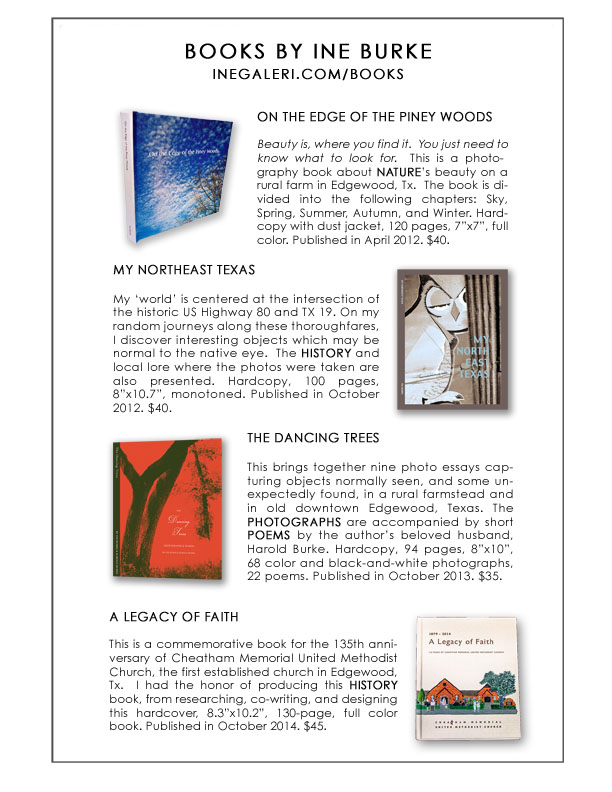 Books Promo Leaflet S
