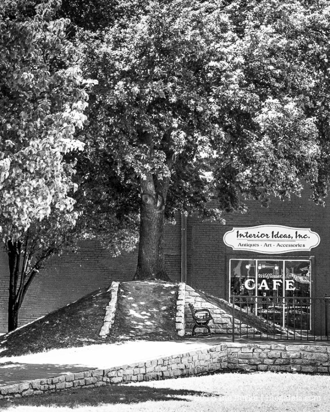 Ennis Texas - Ine Burke-15