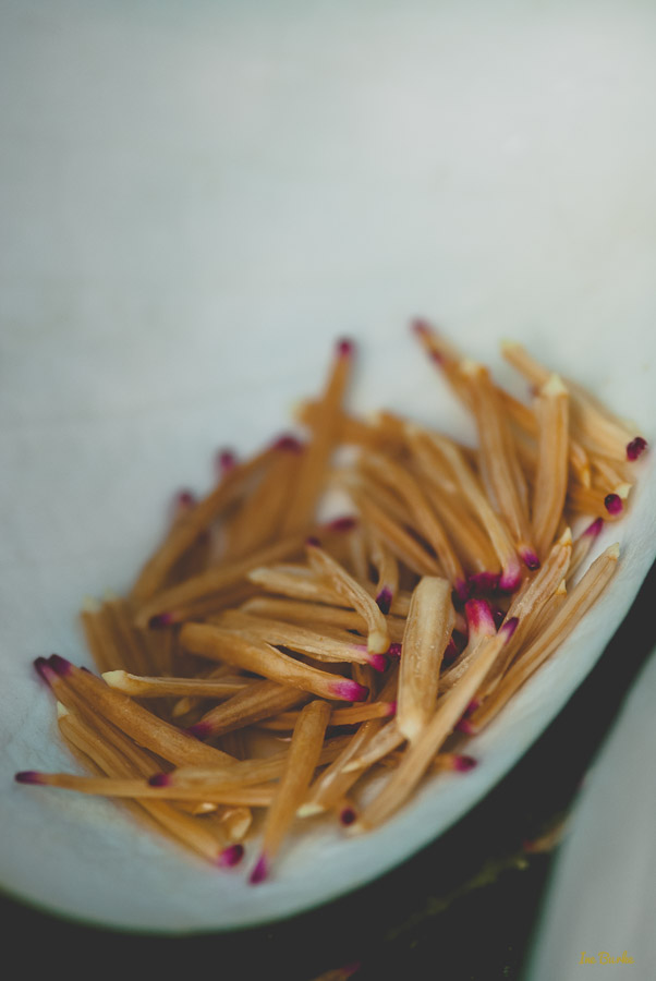 Magnolia by Ine Burke-3