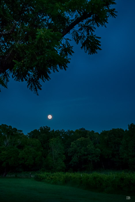 Moon Rising on July 1st, 2015 - 9.02 PM