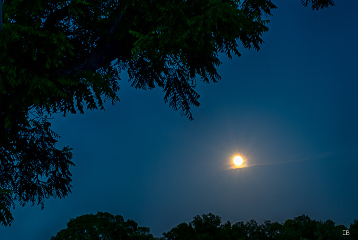 Moon Rising on July 1st, 2015 - 9.14 PM
