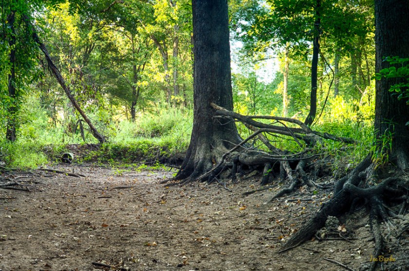 Aug2015 Dry Crooked Creek--4