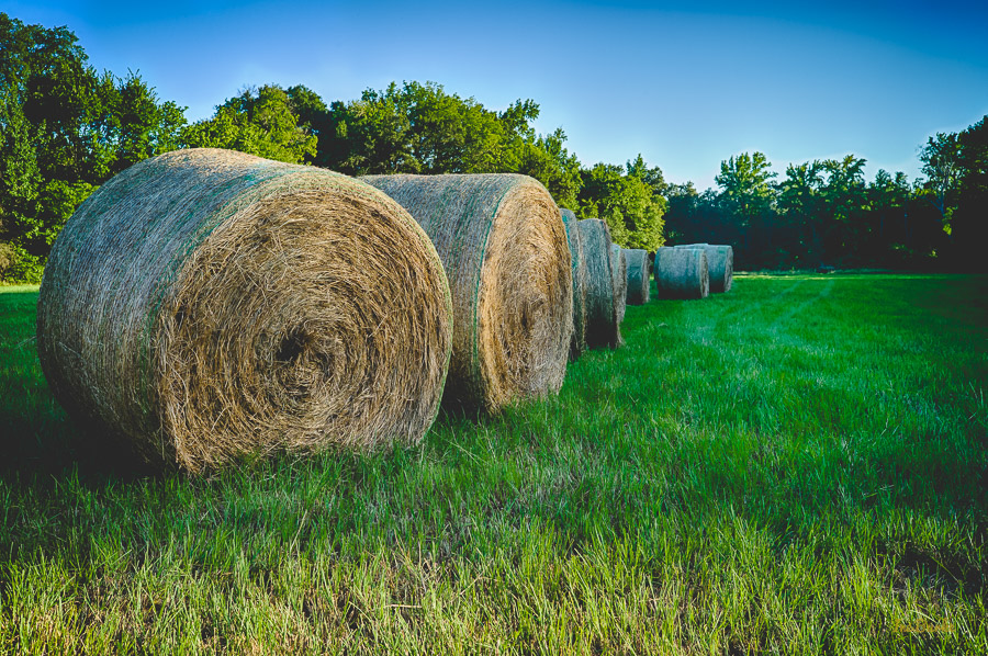 Aug2015 Hay Rolls--2