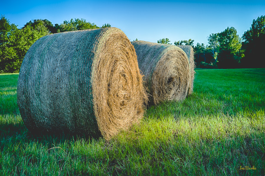 Aug2015 Hay Rolls-