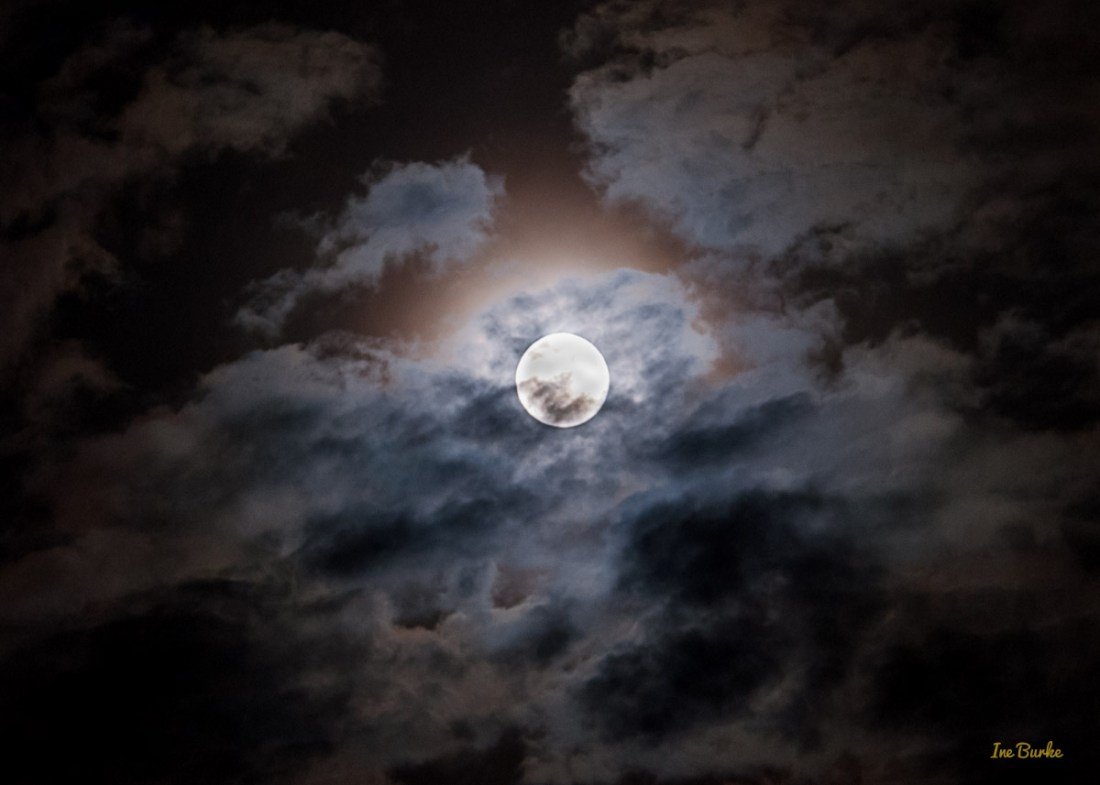 Blue Moon 31July 2015 - IB-3