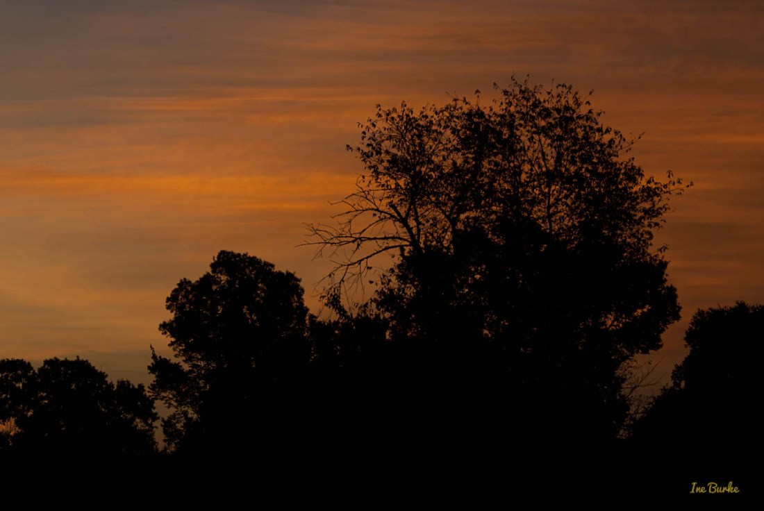 Blue Moon July 2015 - IB-2