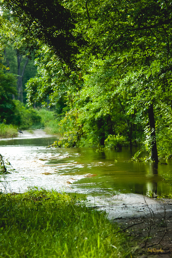 End May 2015 Flood-0059