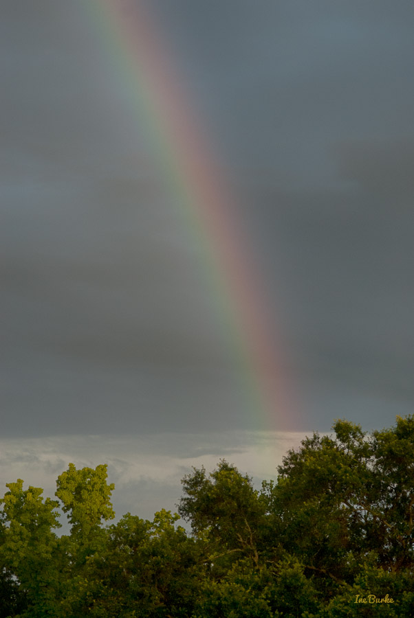 June 2015 Rainbow-
