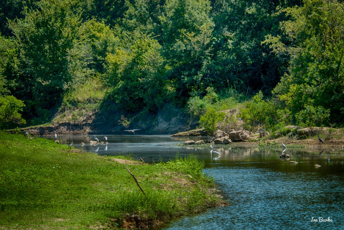 Sabine River Headwaters IB-2