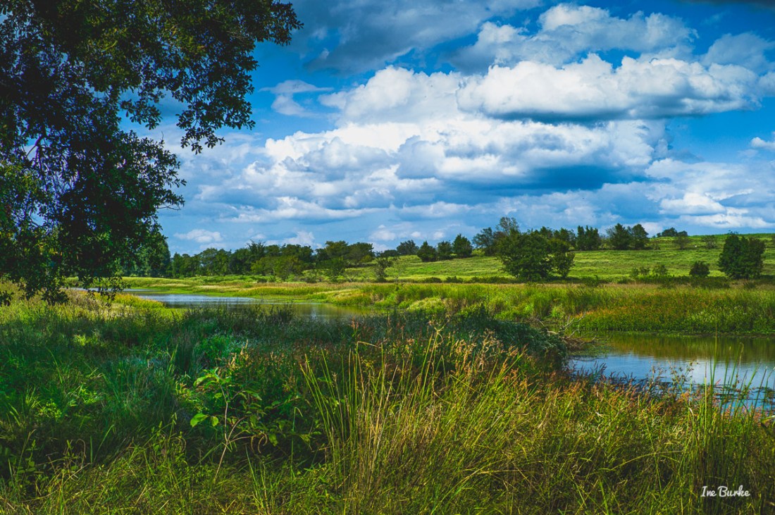 20150915-L1011576_Summer End