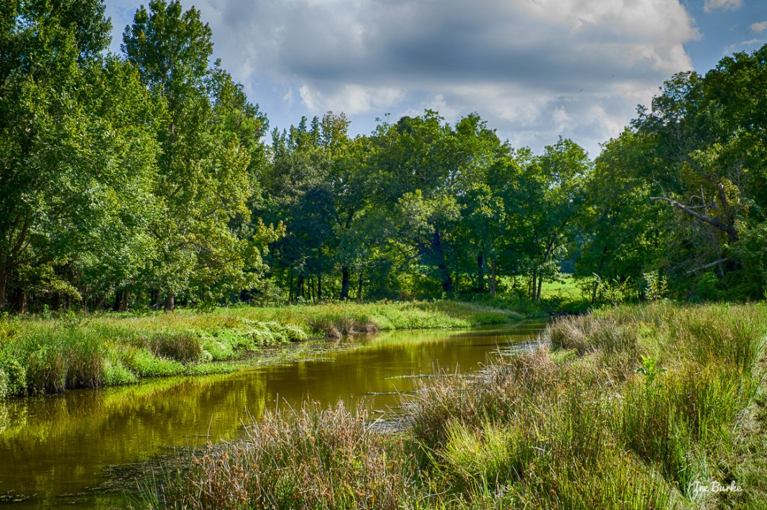 20150915-L1011582_Summer End