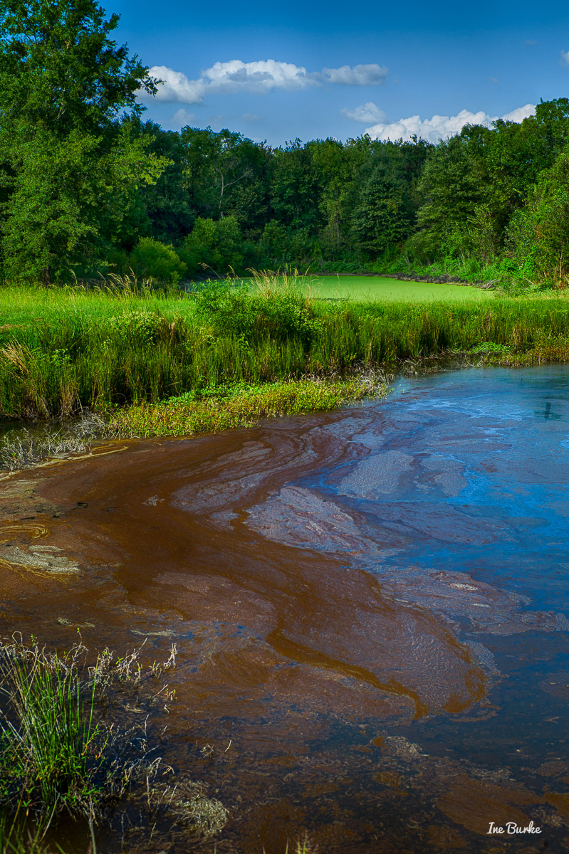 20150915-L1011599_Summer End