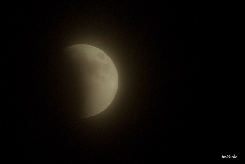 20150927-152_0015- Lunar Eclipse