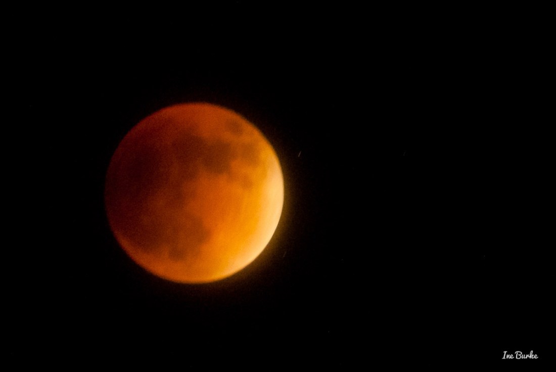 20150927-152_0046- Lunar Eclipse