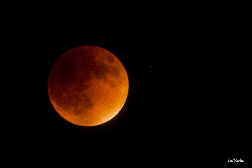 20150927-152_0057- Lunar Eclipse