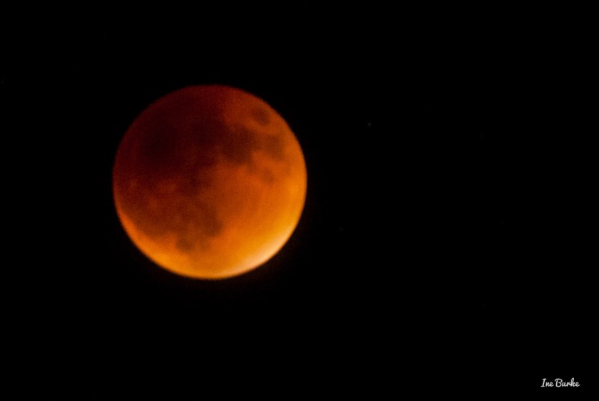 20150927-152_0063- Lunar Eclipse