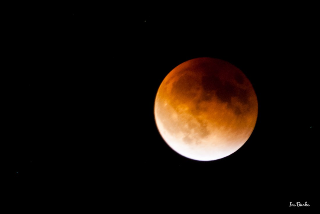 20150927-152_0078- Lunar Eclipse