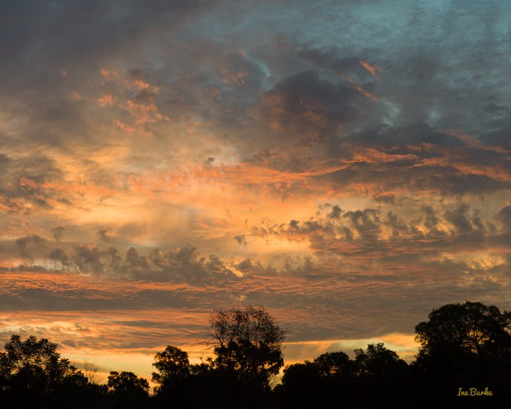 Majestic Texas Sky | Frame 16x20 | Giclee Print 11x14