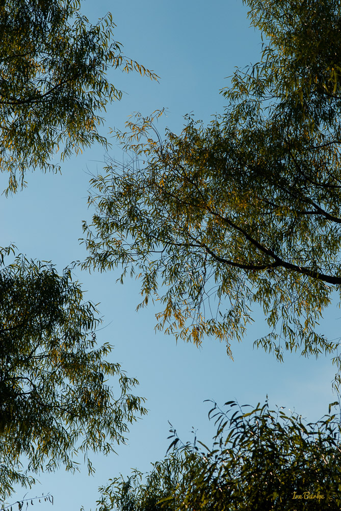 Fall Mill Creek-141024-146_0213-Edit