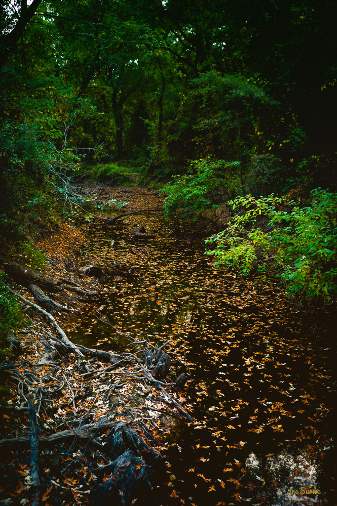Fall Mill Creek-151021-L1012377-Edit-Edit