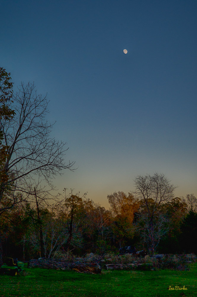 First Frost-151122-L1012539_HDR