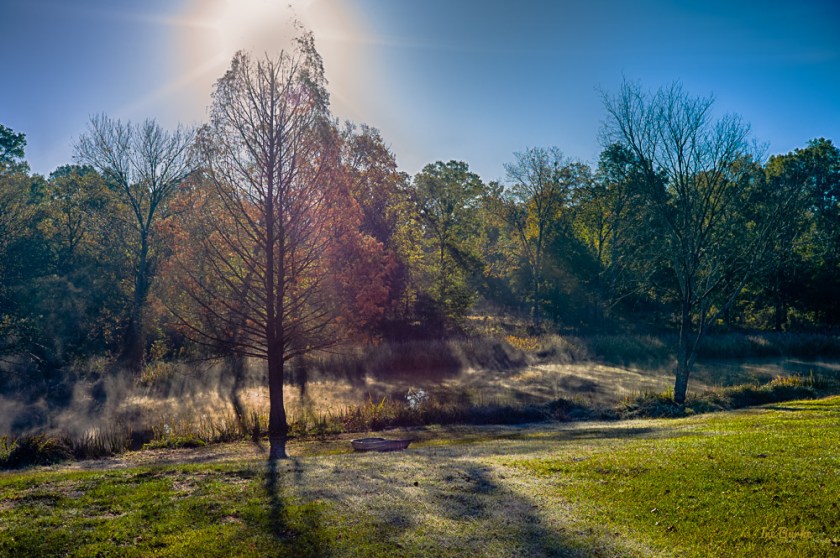 First Frost-151123-L1012546_HDR