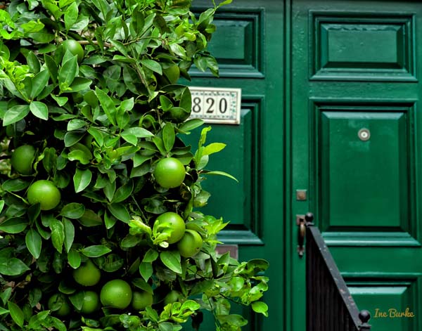 Ine Burke | Lime Green