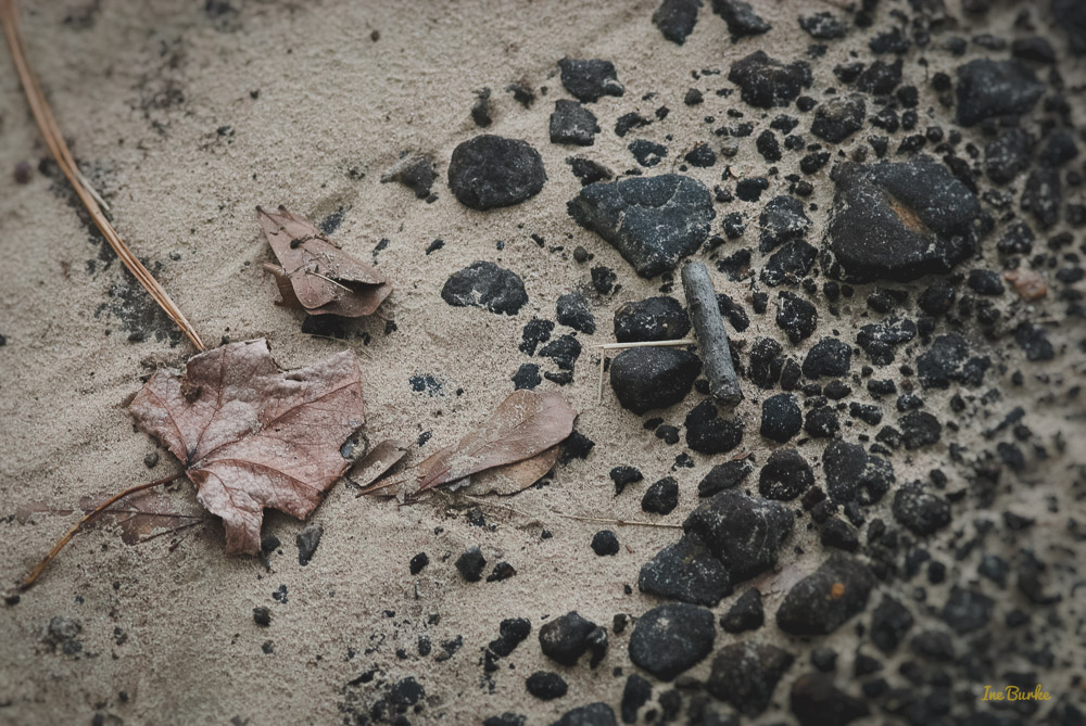 Sandy Soil-151026-153_0003-Edit